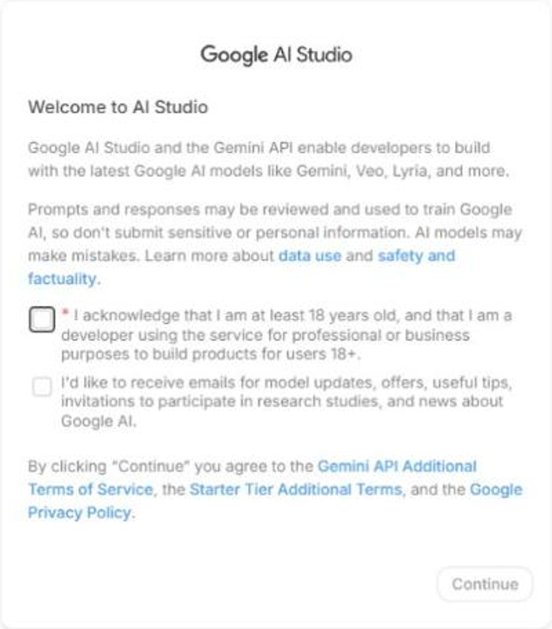 Google AI Studio welcome box with the 18 or older checkbox and the Continue button